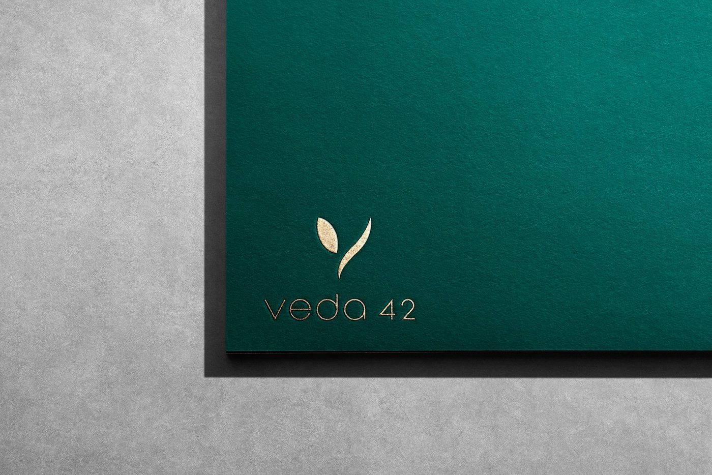 Veda 42 — brand identity